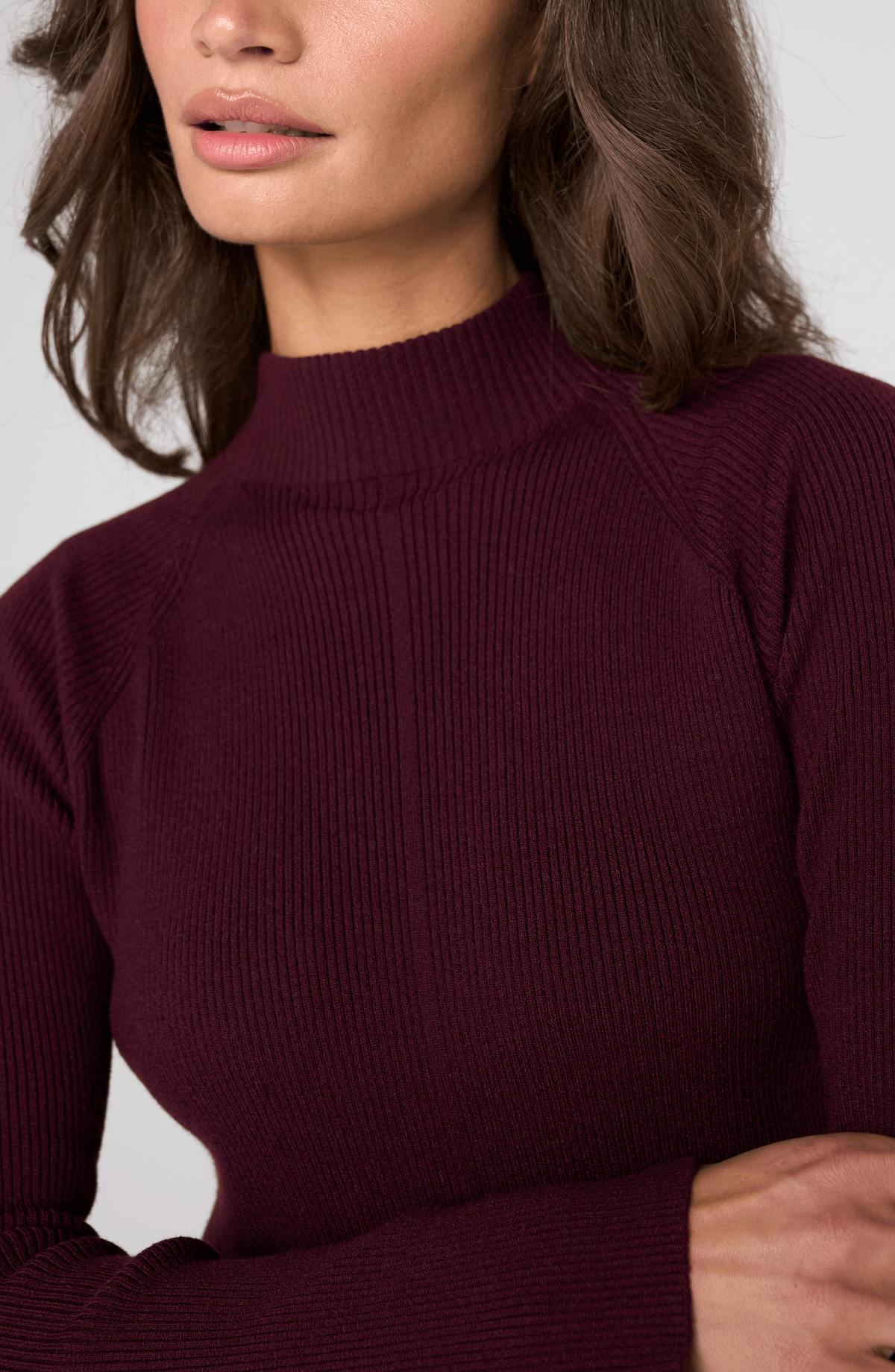 OXBLOOD TNECK SWTR
